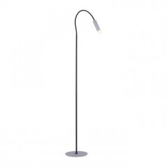 Lampa podłogowa LED PURE-GEMIN 238-95 Paul Neuhaus