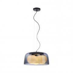 Lampa wisząca CALOPUS 2099-25 Paul Neuhaus