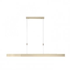 Lampa wisząca LED PURE-MOTO 2525-60 Paul Neuhaus