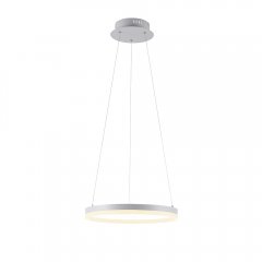 Lampa wisząca LED TITUS 2381-16 Paul Neuhaus