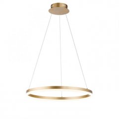 Lampa wisząca LED TITUS 2382-60 Paul Neuhaus