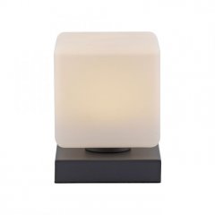 Lampa biurkowa LED DADOA 4036-13 Paul Neuhaus